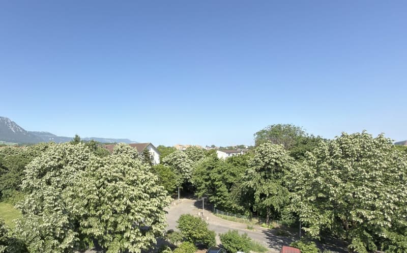Grosse Sanierte 5.0 Maisonette Wohnung mit Balkon in einer ruhiger Lage Solothurn (21)