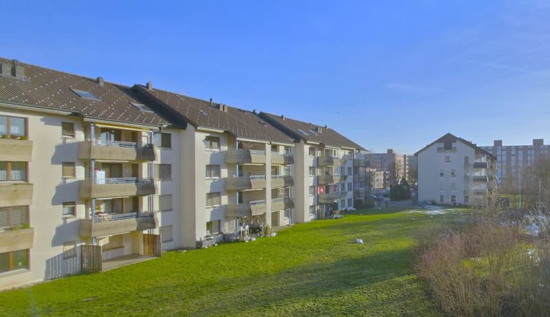 Grosse Sanierte 5.0 Maisonette Wohnung mit Balkon in einer ruhiger Lage Solothurn (20)