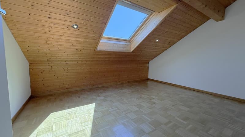Grosse Sanierte 5.0 Maisonette Wohnung mit Balkon in einer ruhiger Lage Solothurn (15)