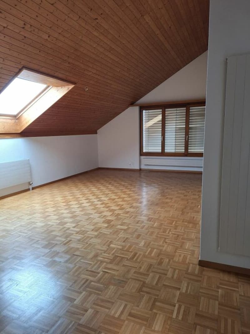 Eine sanierte und helle 2.5 Wohnung in einer ruhiger Lage Solothurn (8)