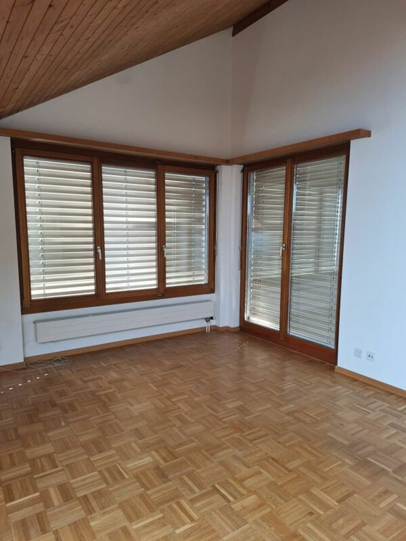 Eine sanierte und helle 2.5 Wohnung in einer ruhiger Lage Solothurn (10)