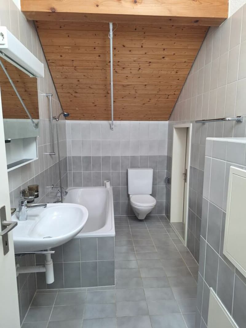 Eine sanierte und helle 2.5 Wohnung in einer ruhiger Lage Solothurn (2)