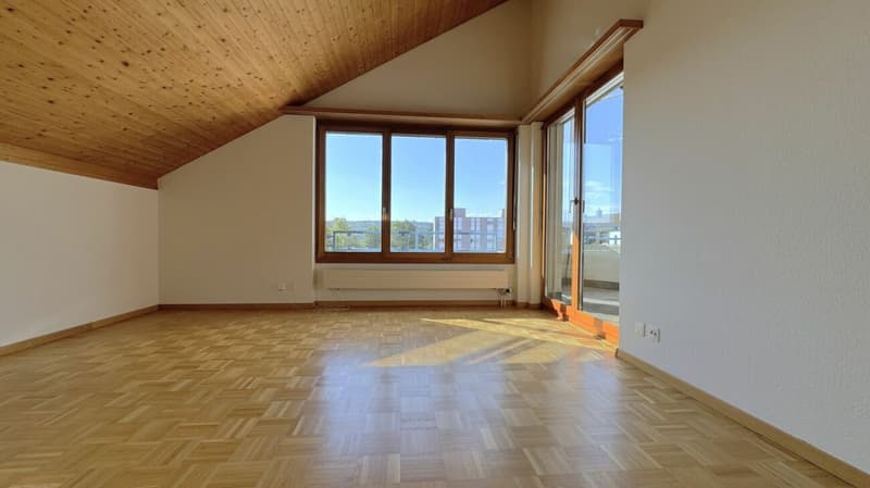 Eine sanierte und helle 2.5 Wohnung in einer ruhiger Lage Solothurn (2)