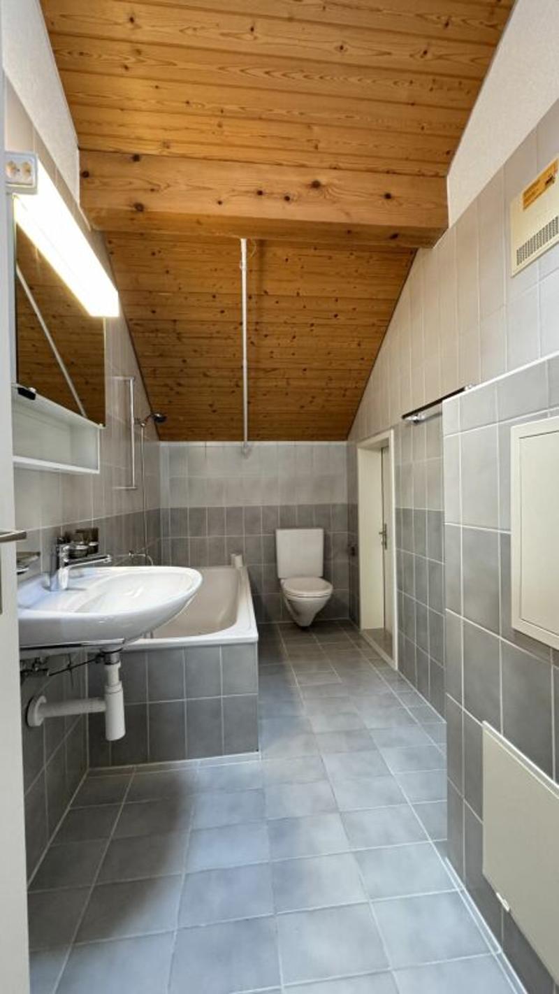 Eine sanierte und helle 2.5 Wohnung in einer ruhiger Lage Solothurn (4)