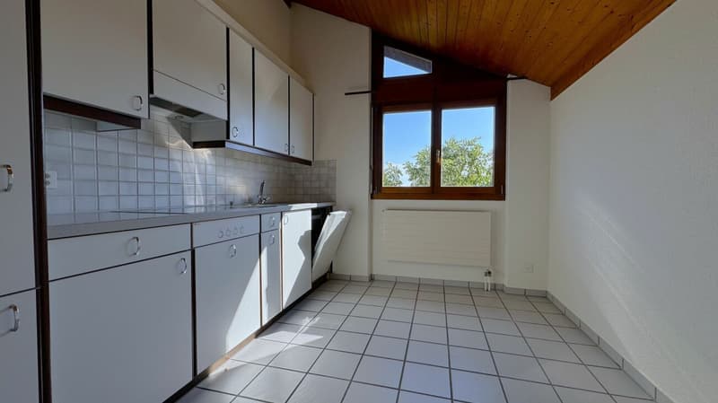 Eine sanierte und helle 2.5 Wohnung in einer ruhiger Lage Solothurn (5)