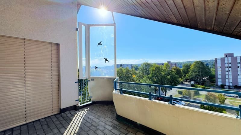 Eine sanierte und helle 2.5 Wohnung in einer ruhiger Lage Solothurn (6)