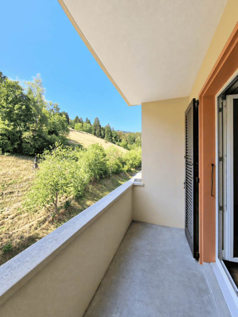 Bel appartement moderne et lumineux de 3 pièces à Perrefitte (10)
