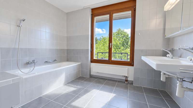 Grosse Sanierte 5.0 Wohnung mit grossen Spielplatz (6)