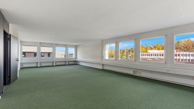 wide room, 6 windows, green carpet, white walls, white ceiling, wooden floor