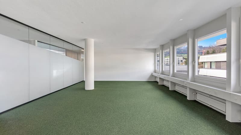 Large open room, windows, green floor, pillars, no furniture
