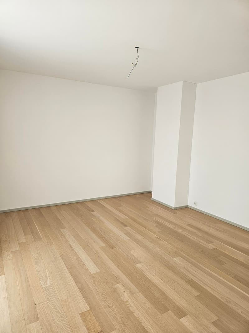 3.5 Zimmer Attikawohung in der Brotegg (9)