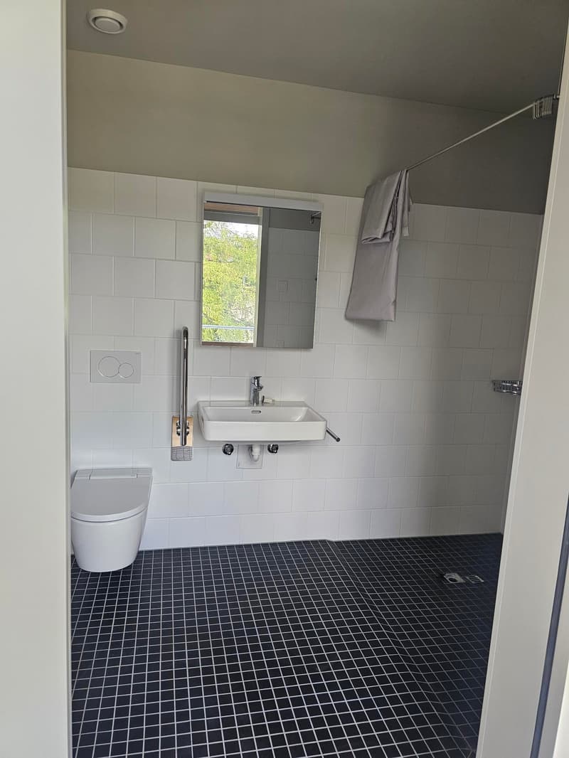 3.5 Zimmer Attikawohung in der Brotegg (6)