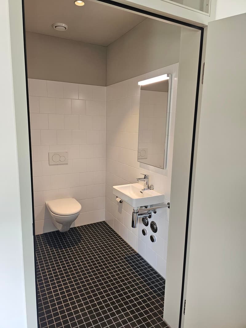 3.5 Zimmer Attikawohung in der Brotegg (5)