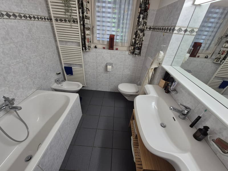 Zu vermieten: 4.5-Zimmer-Wohnung mit grossem Sitzplatz an ruhiger Lage (6)