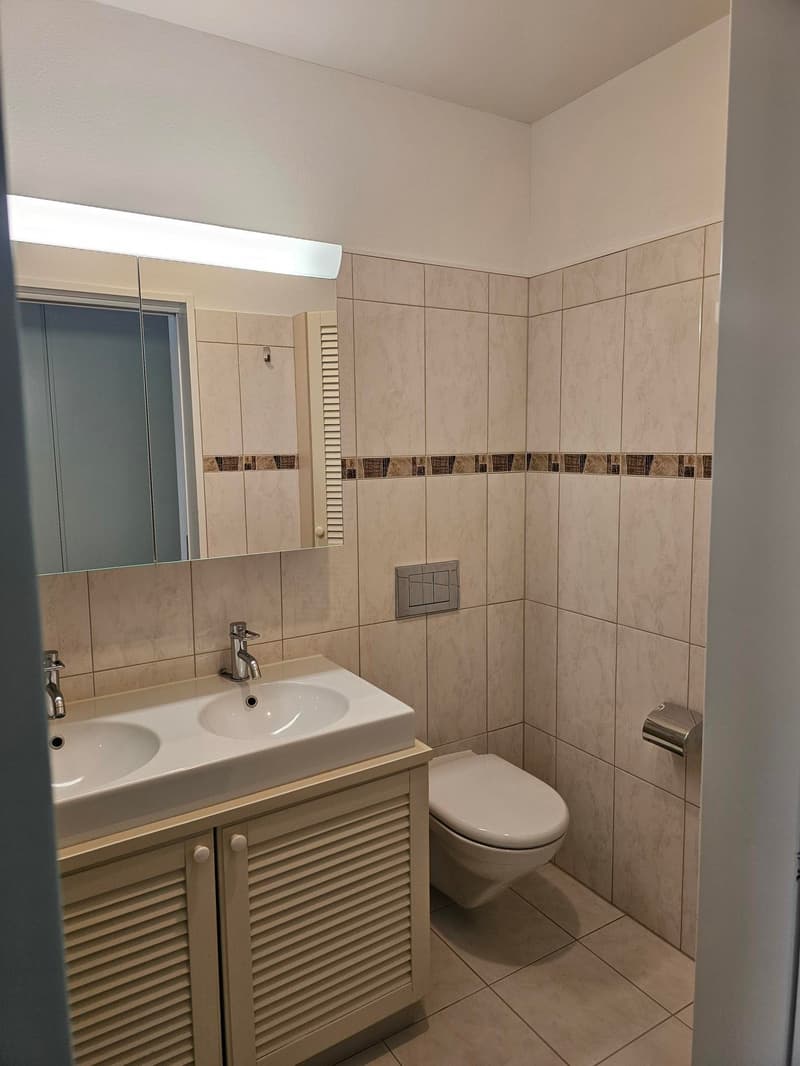 Moderne 4.5-Zimmer-Wohnung im Erdgeschoss in Frauenfeld (9)