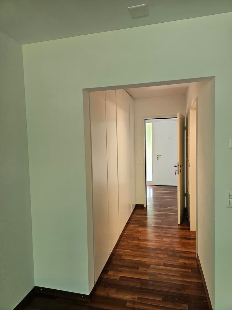 Moderne 4.5-Zimmer-Wohnung im Erdgeschoss in Frauenfeld (7)