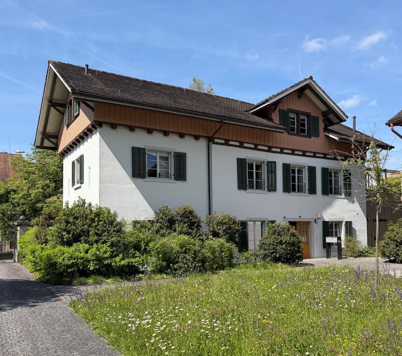 Vereinen Sie Wohnen und Arbeiten auf dem Schlossareal in Gachnang TG (1)