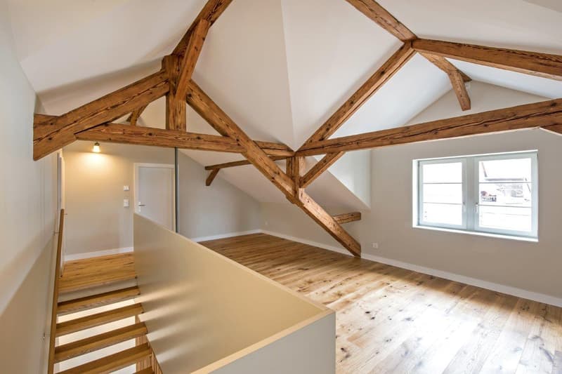 Vereinen Sie Wohnen und Arbeiten auf dem Schlossareal in Gachnang TG (15)