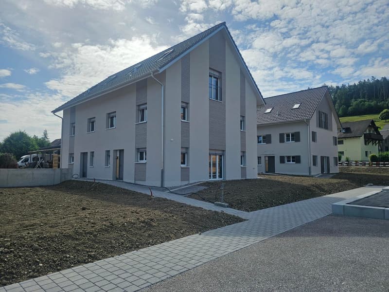 Neubau-Einfamilienhaus mit 5.5 Zimmern in Hüttlingen (2)