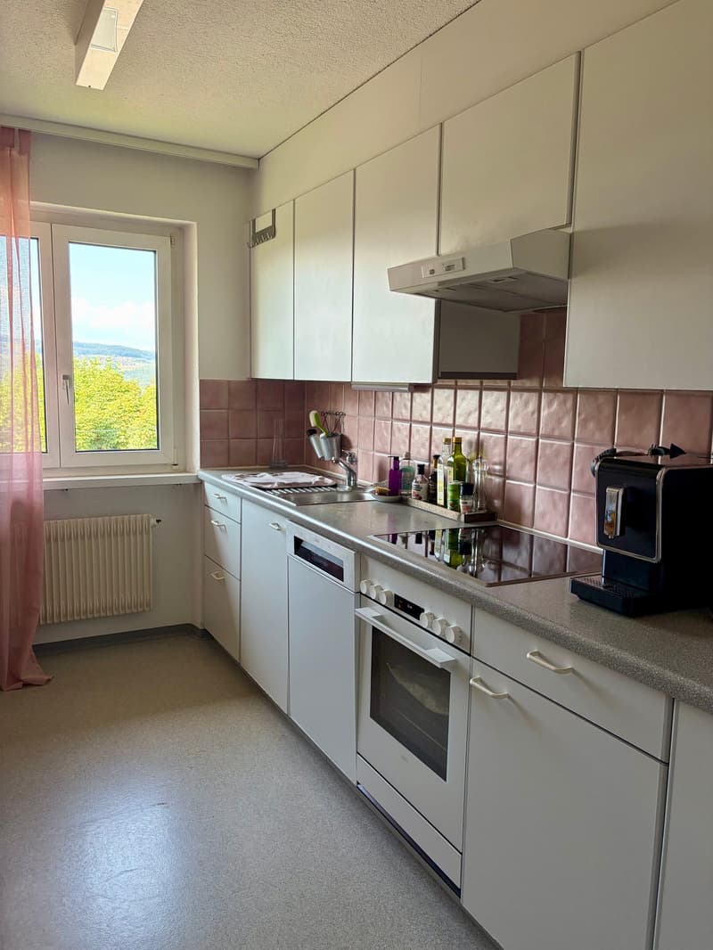 Zu vermieten: 3.5 Zimmerwohnung mit schöner Aussicht (5)