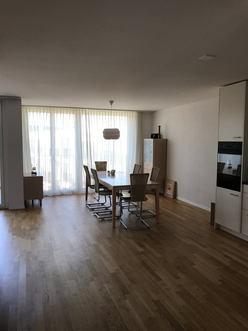 Wohnung mit wunderschöner Aussicht mitten in Frauenfeld (7)