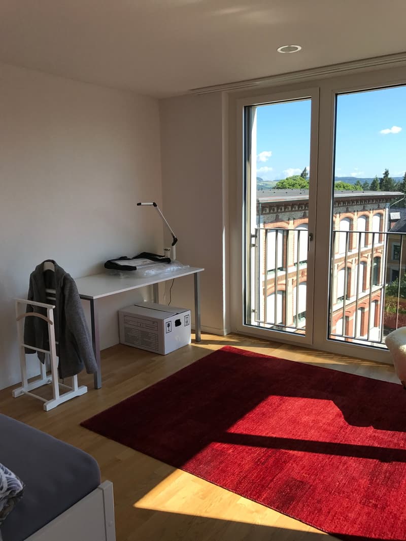 Wohnung mit wunderschöner Aussicht mitten in Frauenfeld (10)