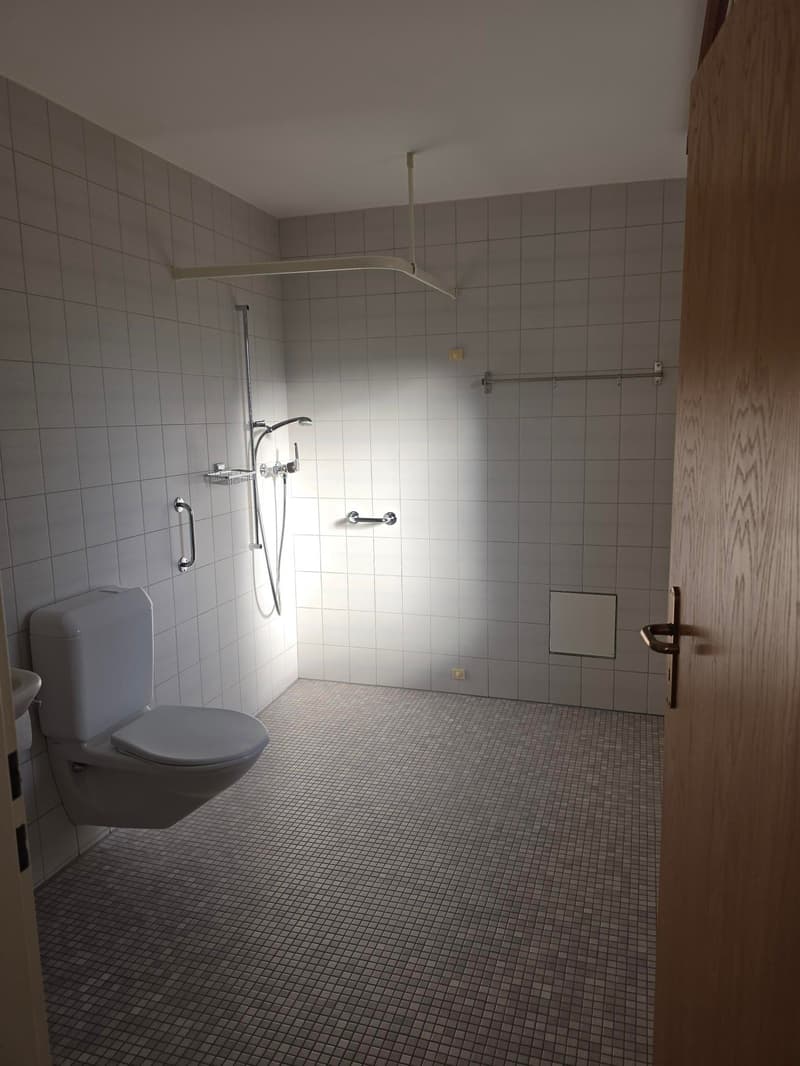 2.5 Zimmerwohnung in Felben-Wellhausen (5)