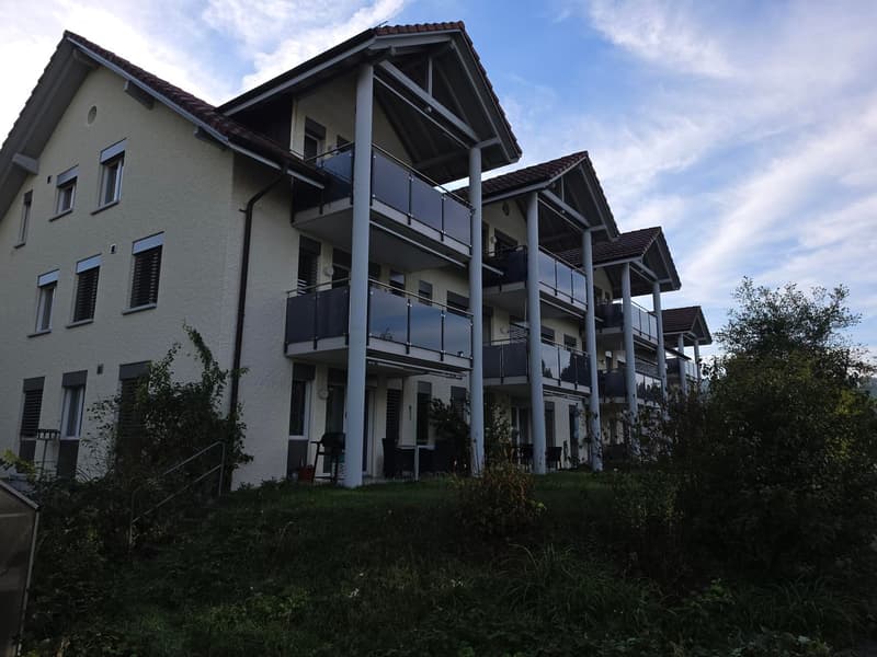 2.5 Zimmerwohnung in Felben-Wellhausen (8)
