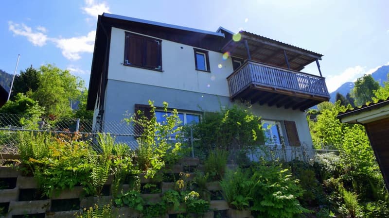 Wohn - Ferienhaus mit Einliegerwohnung (1)