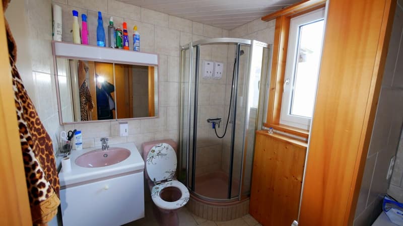 Wohn - Ferienhaus mit Einliegerwohnung (8)