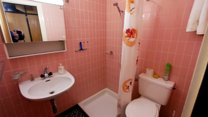 Wohn - Ferienhaus mit Einliegerwohnung (11)