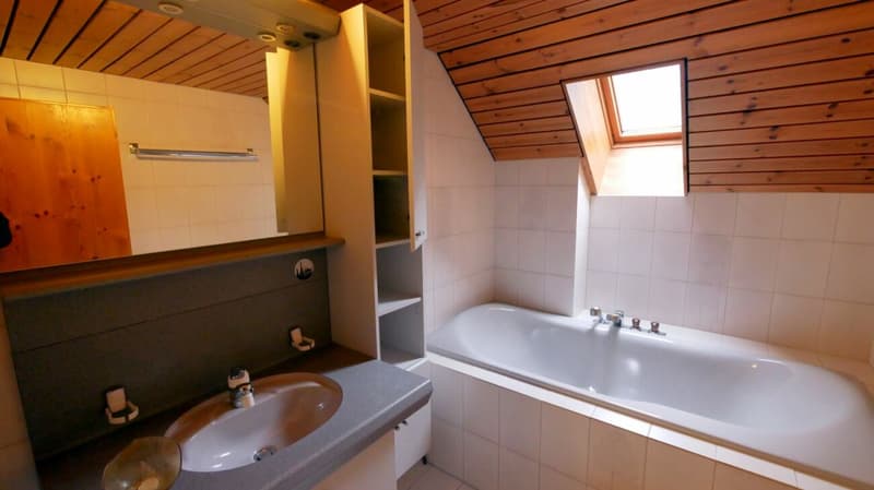 5.5 - Zimmer - Dachwohnung (Maisonette) (12)