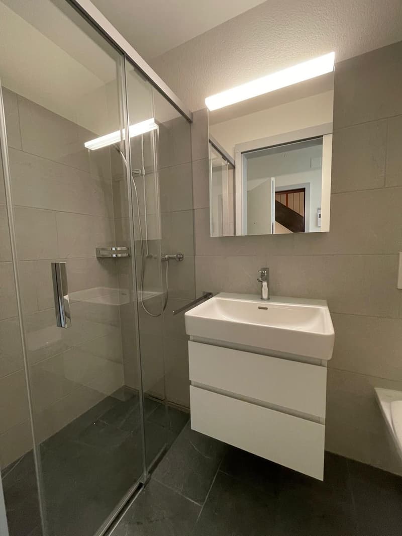 Kernsanierte moderne 1-Zimmerwohnung (5)