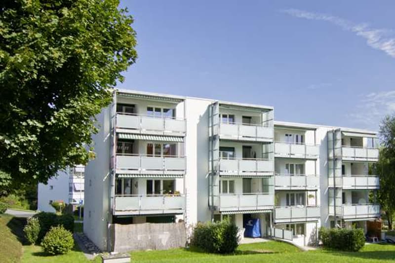 Charmante 1.5 Zimmer-Wohnung mit grossem Balkon & tollem Ausblick! (1)