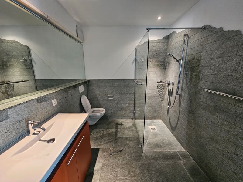 Modern bathroom with a large mirror, a white sink, a toilet, and a glass-enclosed shower area.