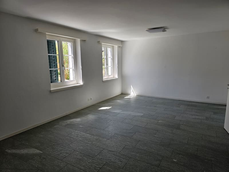 Empty room with white walls, gray tiled floor, two windows with shutters, and ceiling light.