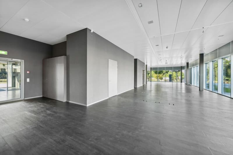 Rue du Centre 172, St-Sulpice (8)