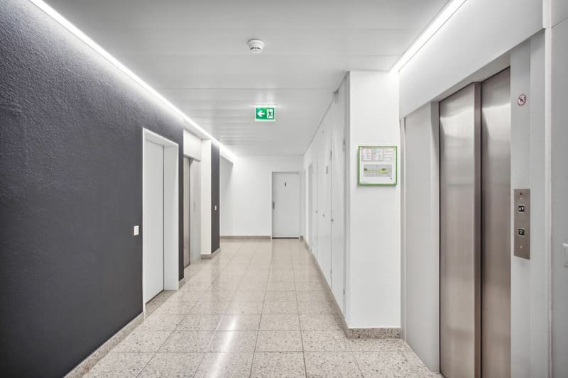 Votre nouvel emplacement commercial au Leuehuus près de Löwenplatz (9)