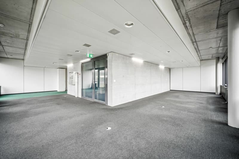 Allmendstrasse 23, Dietikon (10)
