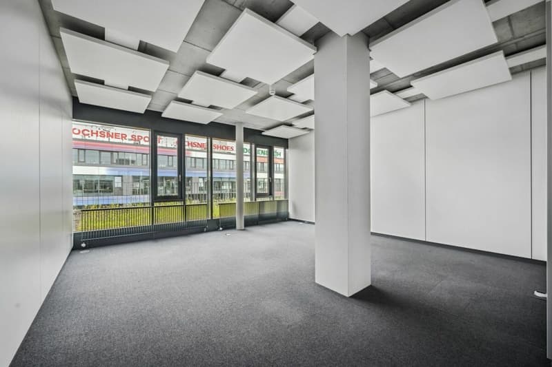 Allmendstrasse 23, Dietikon (12)