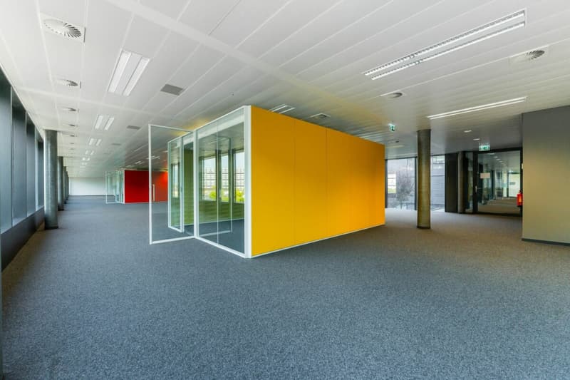 Surface administrative de 529 m² - grands plateaux de bureaux lumineux et modulables (6)