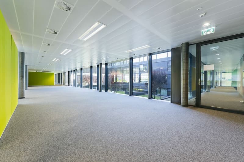Surface administrative de 529 m² - grands plateaux de bureaux lumineux et modulables (5)