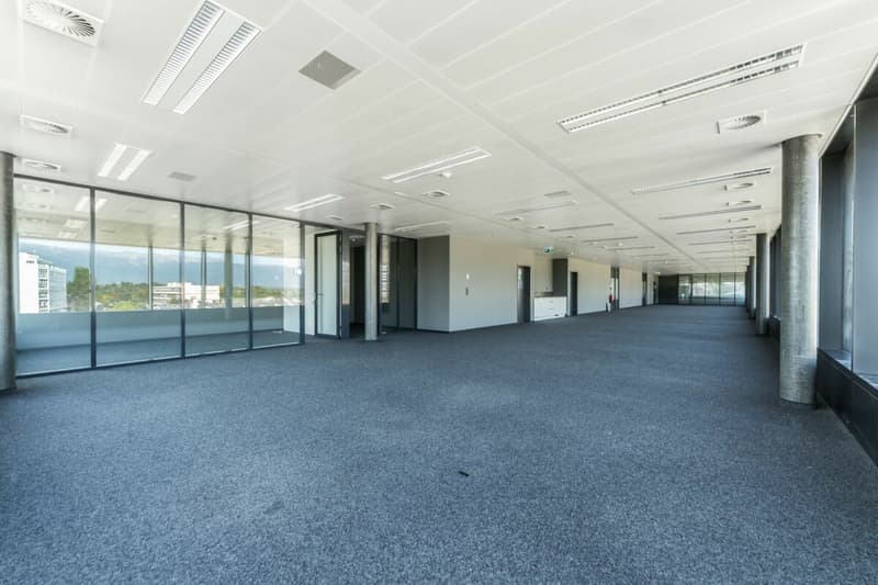 Surface de bureaux de 975m² (4)