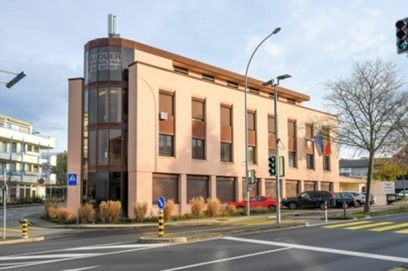Bureau lumineux de 54 m² - Grand-Saconnex (1)