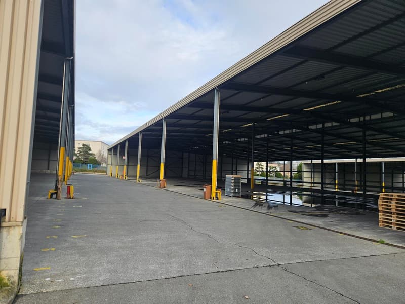 Industrial building with large open space, yellow markings on floor, yellow poles, storage boxes, small puddle