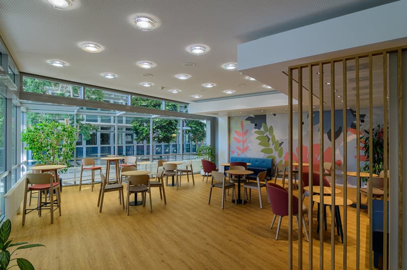 Wooden floor, large windows, round tables and chairs, blue sofa, decorative wall, plants