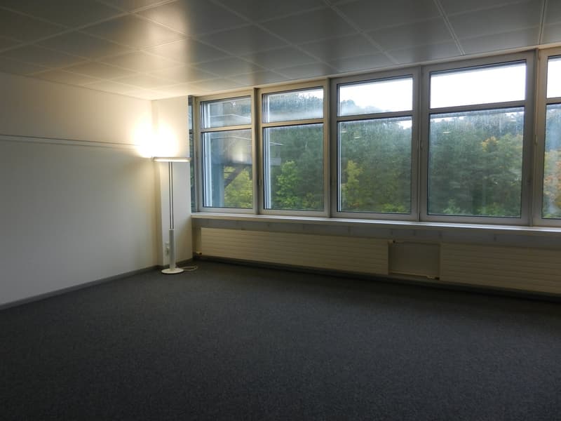 empty room, white walls, gray carpet, white floor lamp, large windows with view of trees