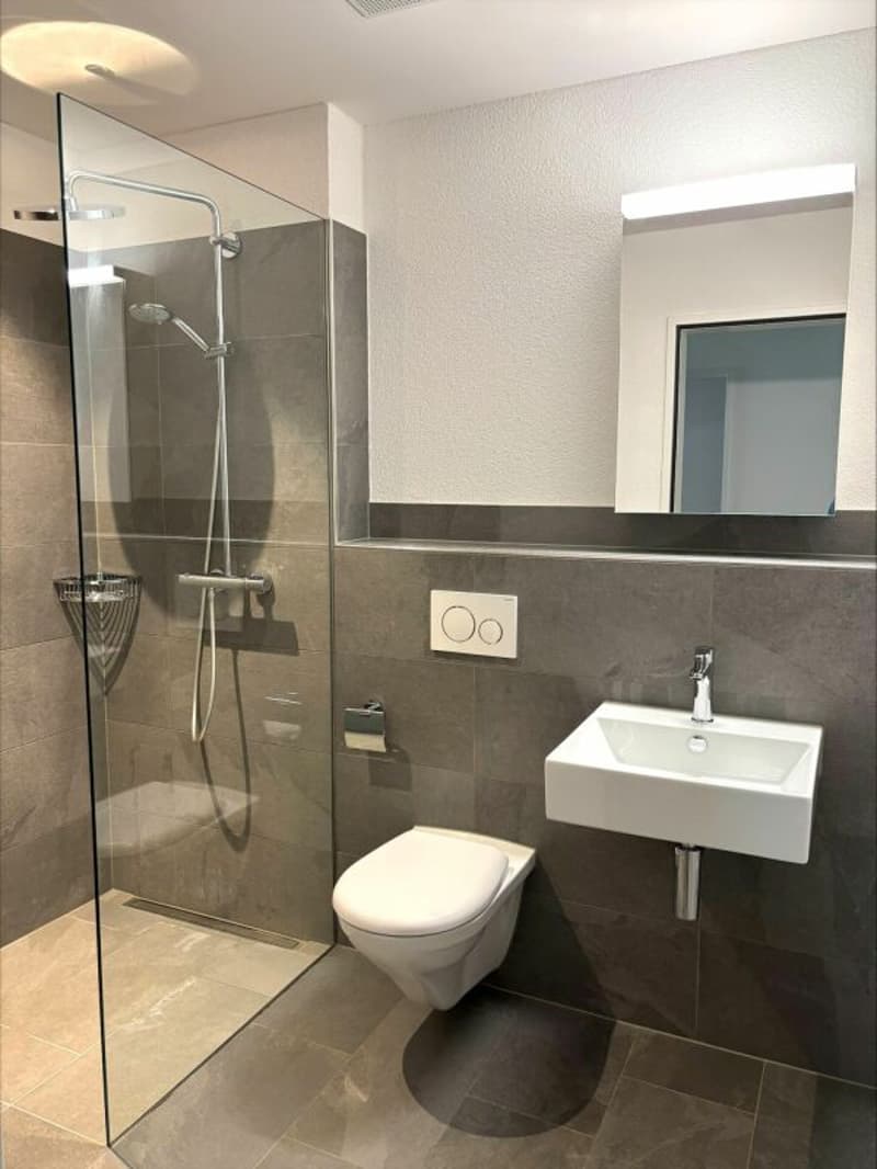 tolle Erdgeschosswohnung in Eigentumsstandart zu mieten (6)