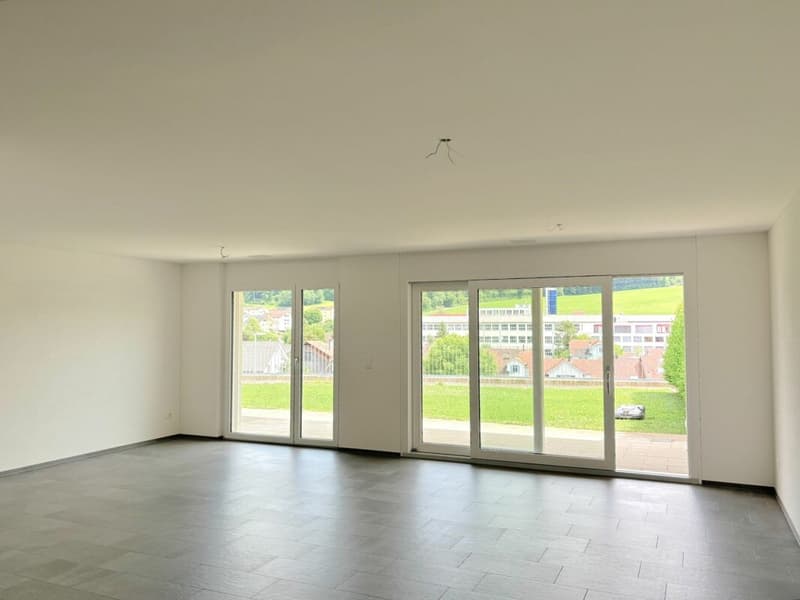 tolle Terassenwohnung in Eigentumsstandart zu mieten (3)