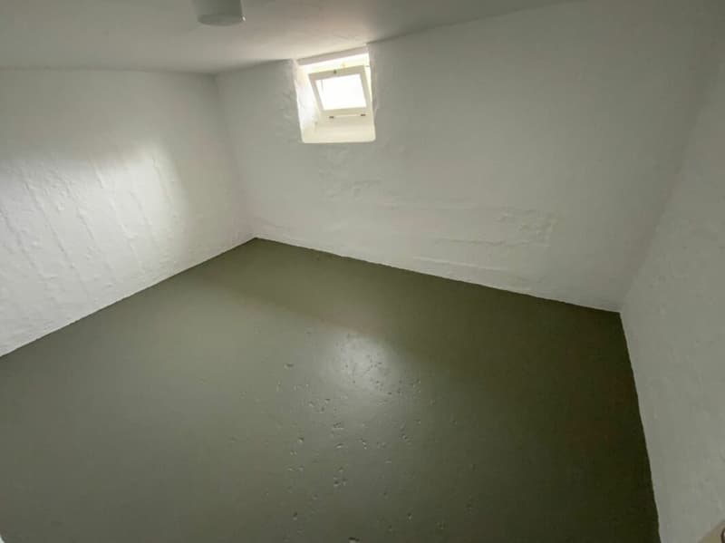 tolle 4 1/2 Zimmer-Wohnung zu mieten (9)